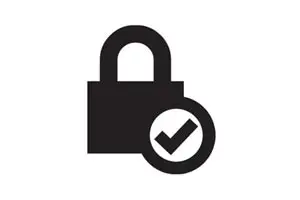 icon security