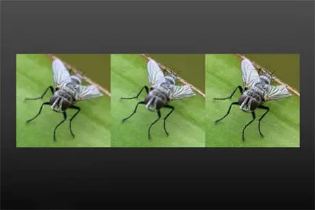 focus bracketing