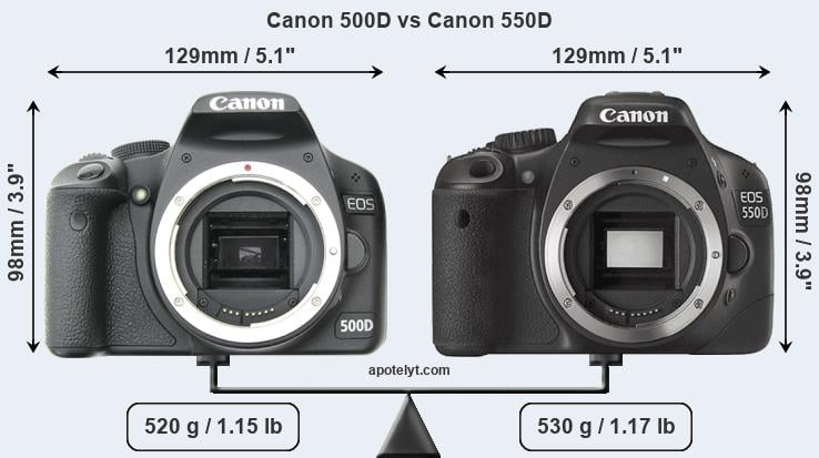 typist Caius Correlaat Canon 500D vs Canon 550D Comparison Review