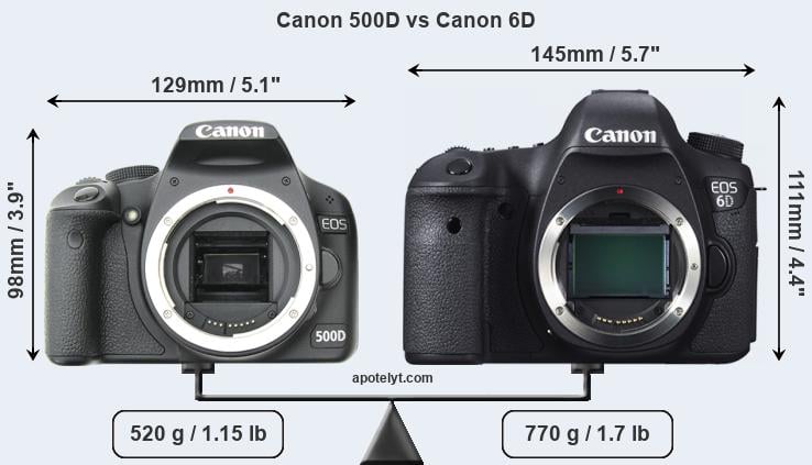Spruit toonhoogte uitbreiden Canon 500D vs Canon 6D Comparison Review