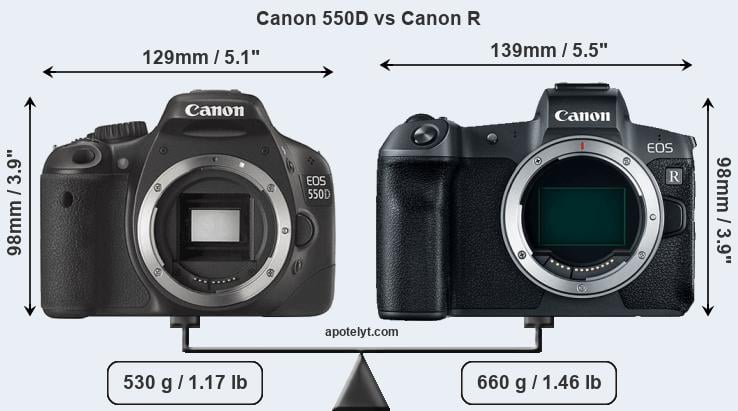 Canon vs Canon R Comparison Review