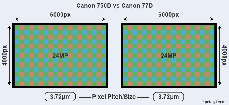 verhaal heerlijkheid Onafhankelijkheid Canon 750D vs Canon 77D Comparison Review