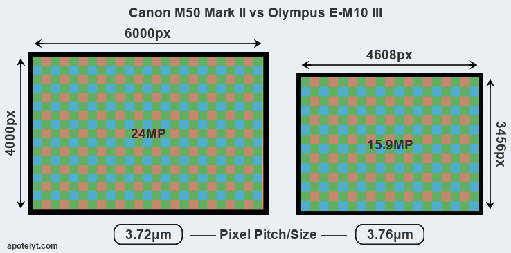 Canon M50 Mark vs Olympus E-M10 III