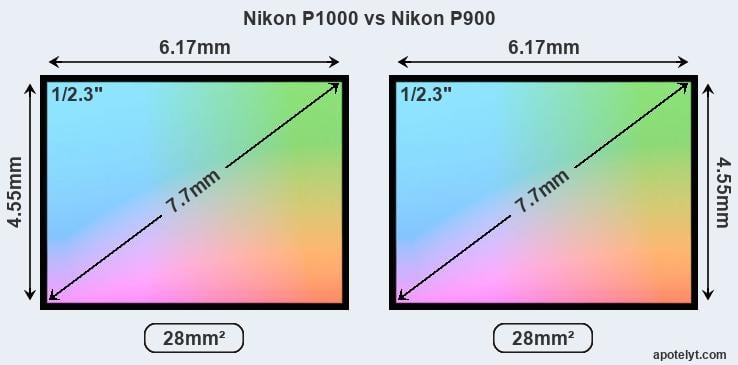 tofu Hoes Wiskunde Nikon P1000 vs Nikon P900 Comparison Review