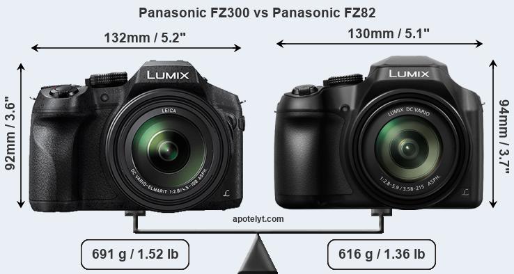 Makkelijk te lezen Gorgelen blok Panasonic FZ300 vs Panasonic FZ82 Comparison Review