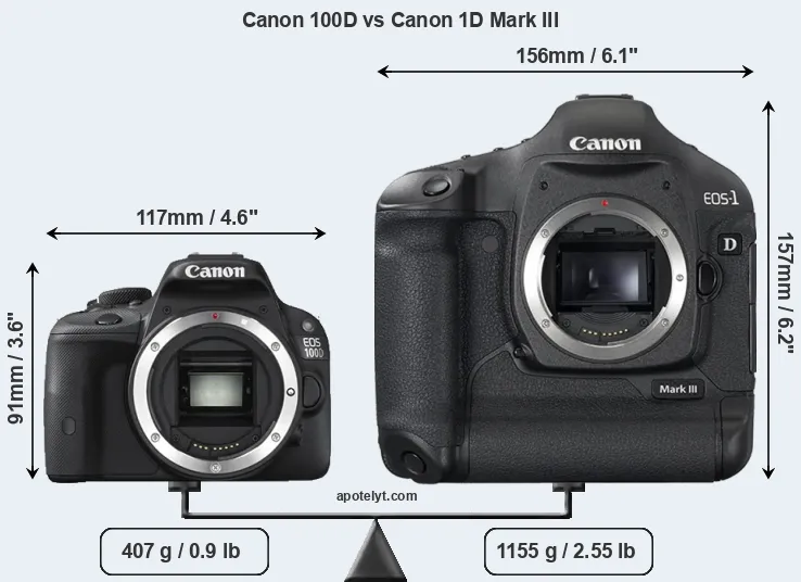 Size Canon 100D vs Canon 1D Mark III