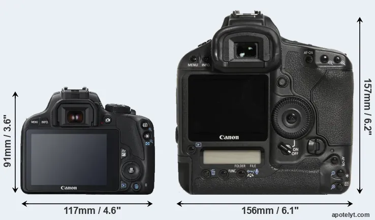 Comparison 100D or 1D Mark III rear
