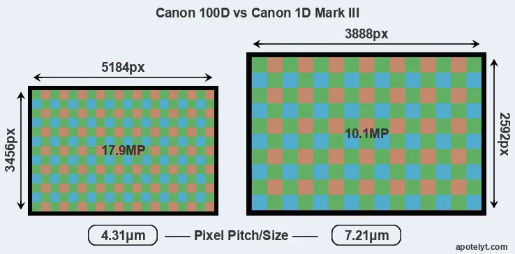 100D versus 1D Mark III MP