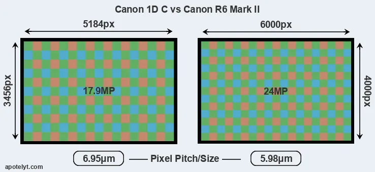 1DC versus R6 Mark II MP