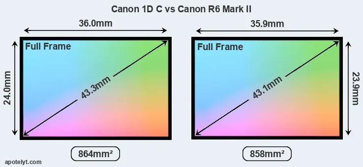 Canon 1D C and Canon R6 Mark II sensor measures