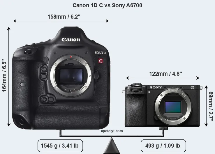 Size Canon 1D C vs Sony A6700