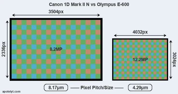 1D Mark II N versus E-600 MP