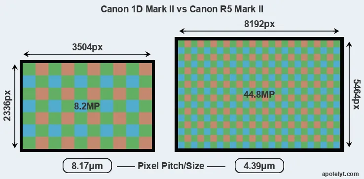 1D Mark II versus R5 Mark II MP