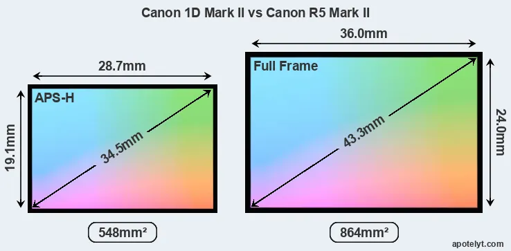 Canon 1D Mark II and Canon R5 Mark II sensor measures