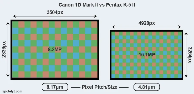 1D Mark II versus K-5 II MP
