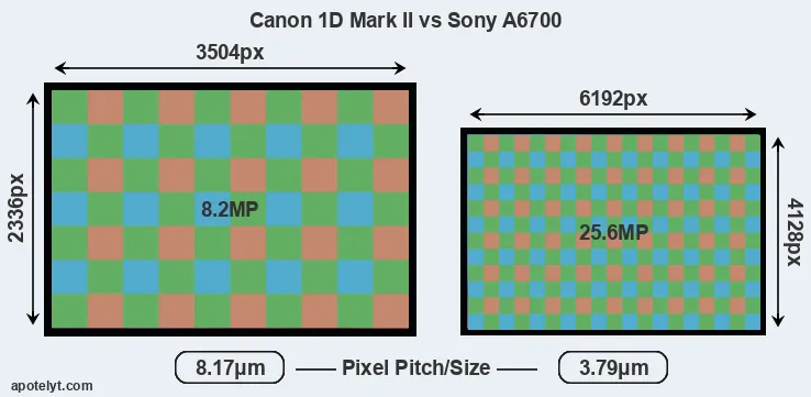 1D Mark II versus A6700 MP