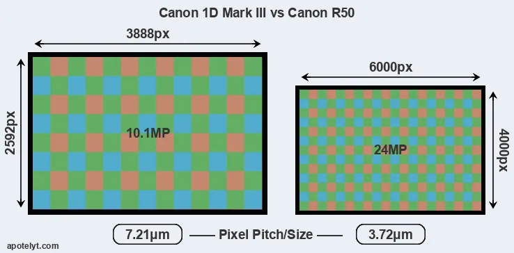 1D Mark III versus R50 MP