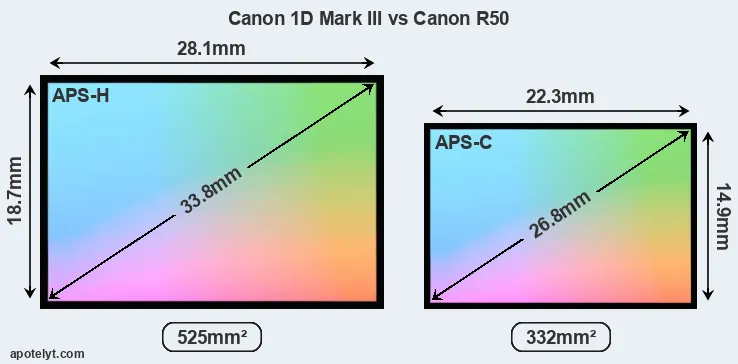 Canon 1D Mark III and Canon R50 sensor measures