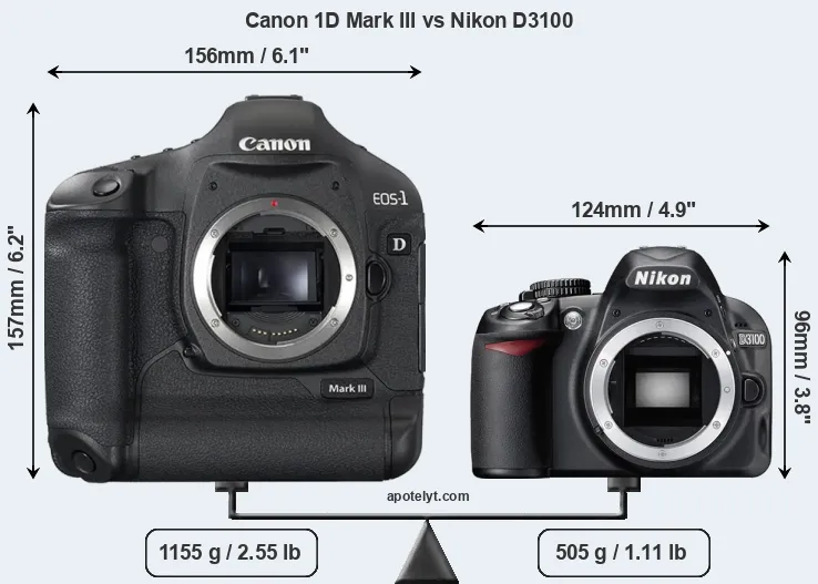 Size Canon 1D Mark III vs Nikon D3100