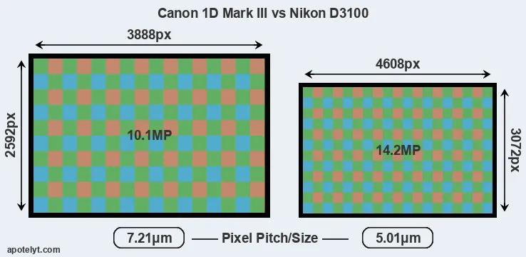 1D Mark III versus D3100 MP