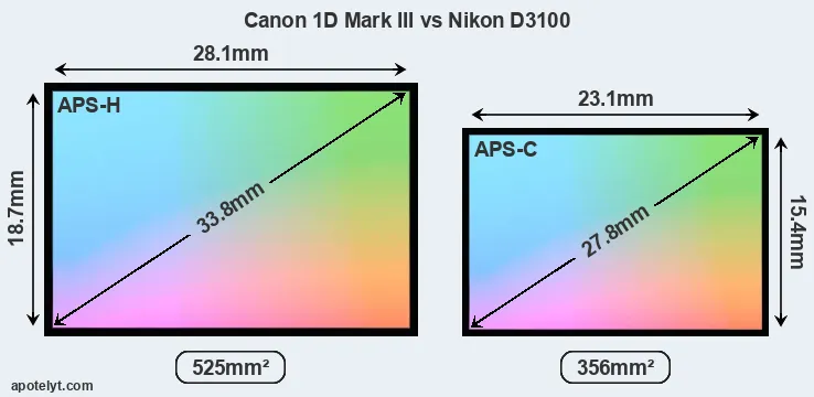 Canon 1D Mark III and Nikon D3100 sensor measures