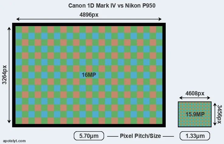 1D Mark IV versus P950 MP
