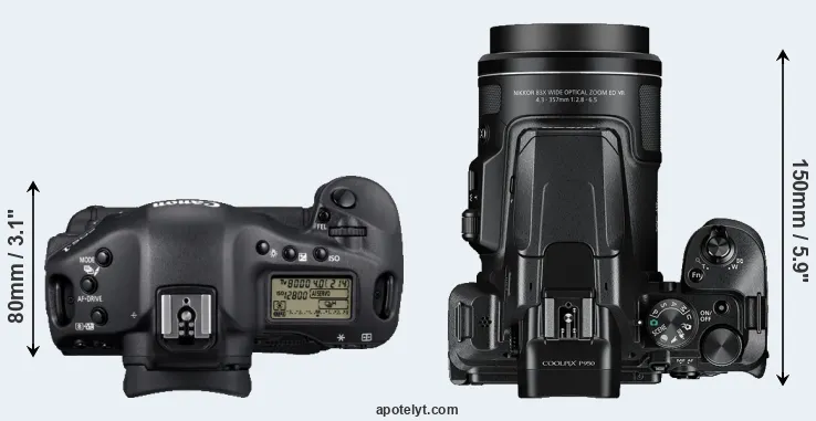 Compare 1D Mark IV versus P950 top