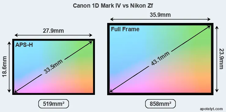 Canon 1D Mark IV and Nikon Zf sensor measures