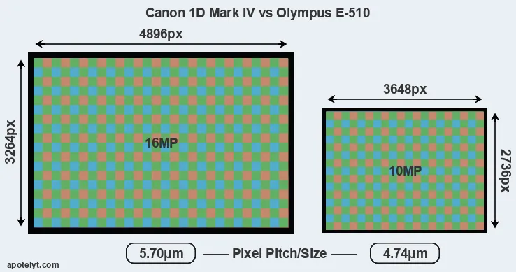 1D Mark IV versus E-510 MP