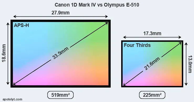 Canon 1D Mark IV and Olympus E-510 sensor measures