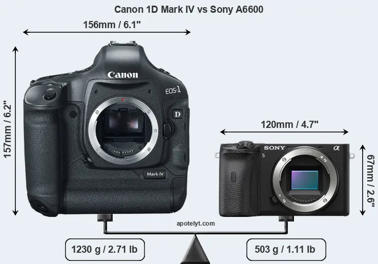 Size Canon 1D Mark IV vs Sony A6600