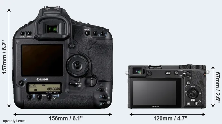 Comparison 1D Mark IV or A6600 rear