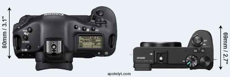Compare 1D Mark IV versus A6600 top