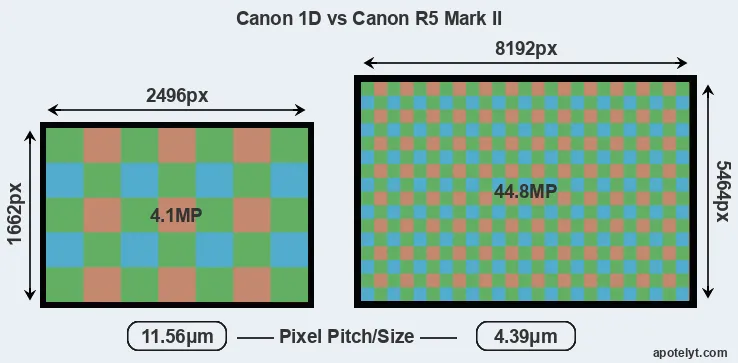 1D versus R5 Mark II MP