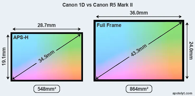 Canon 1D and Canon R5 Mark II sensor measures