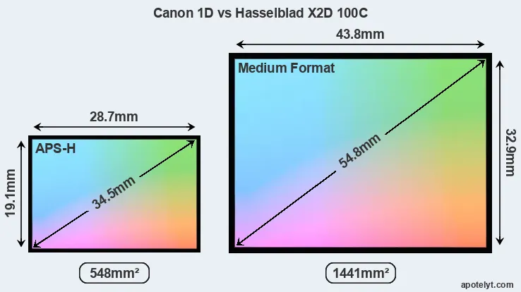 Canon 1D and Hasselblad X2D 100C sensor measures