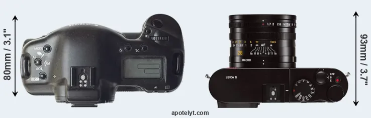 Compare 1D versus Q Typ 116 top