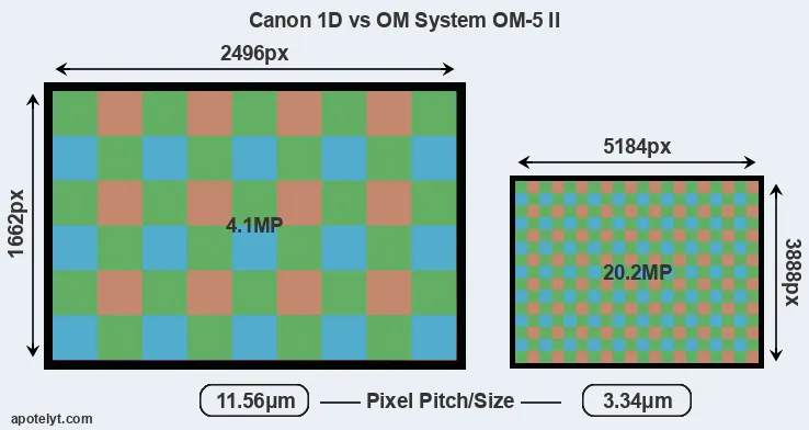 1D versus OM-5 II MP