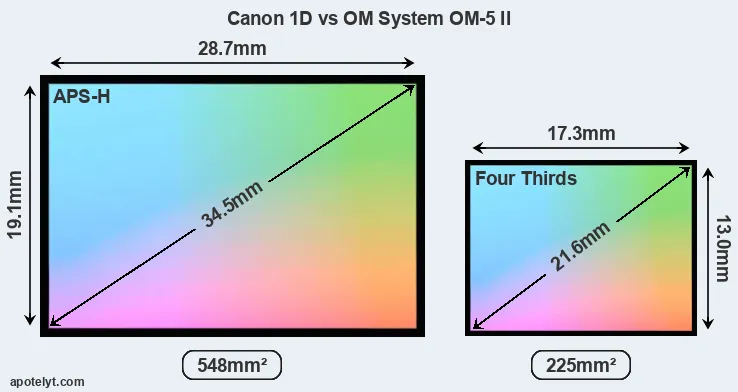 Canon 1D and OM System OM-5 II sensor measures