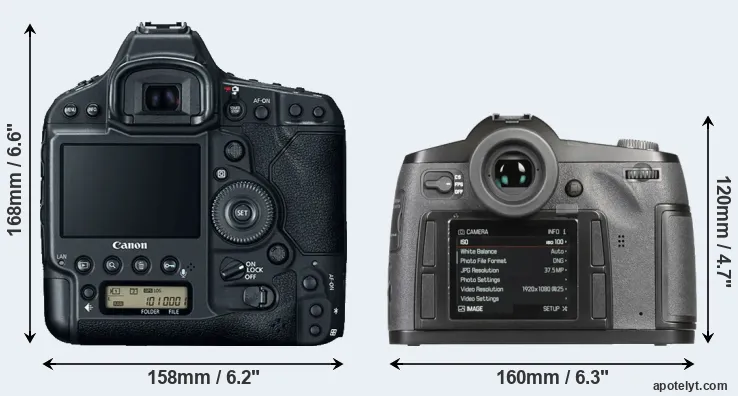 Comparison 1DX Mark II or S-E Typ 006 rear