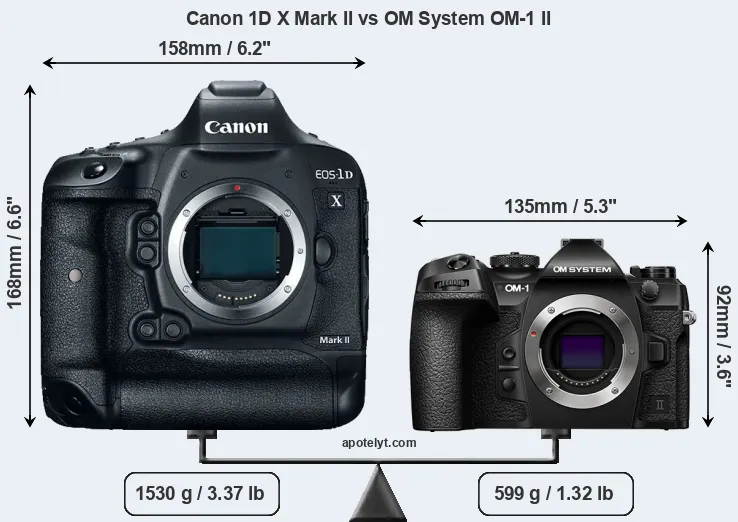 Size Canon 1D X Mark II vs OM System OM-1 II