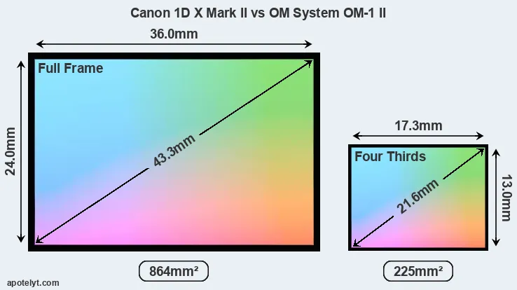 Canon 1D X Mark II and OM System OM-1 II sensor measures