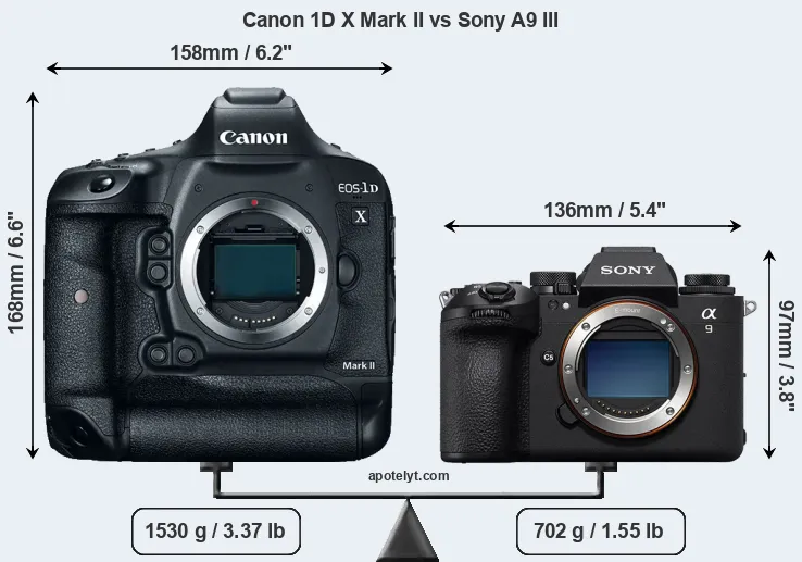 Size Canon 1D X Mark II vs Sony A9 III