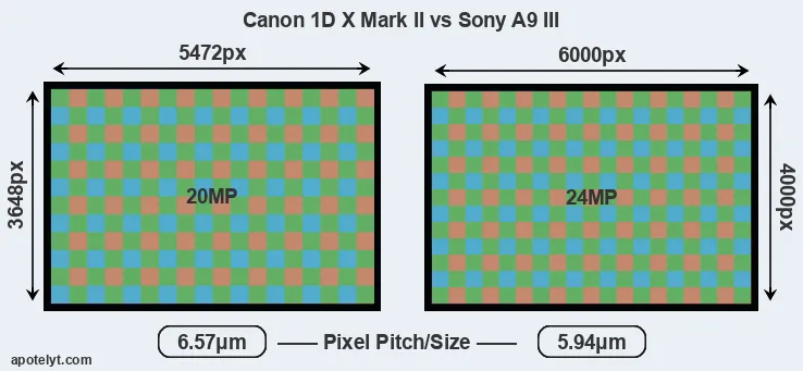 1DX Mark II versus A9 III MP
