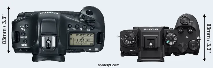 Compare 1DX Mark II versus A9 III top