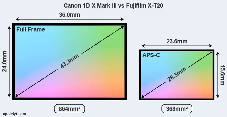 Canon 1D X Mark III and Fujifilm X-T20 sensor measures