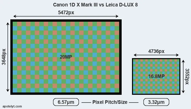 1DX Mark III versus D-LUX 8 MP