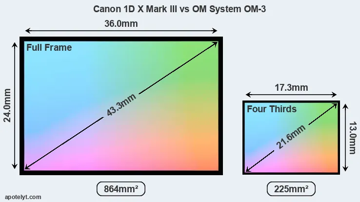 Canon 1D X Mark III and OM System OM-3 sensor measures