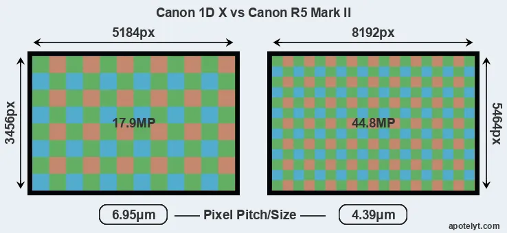1DX versus R5 Mark II MP