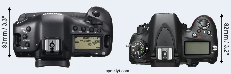 Compare 1DX versus D600 top